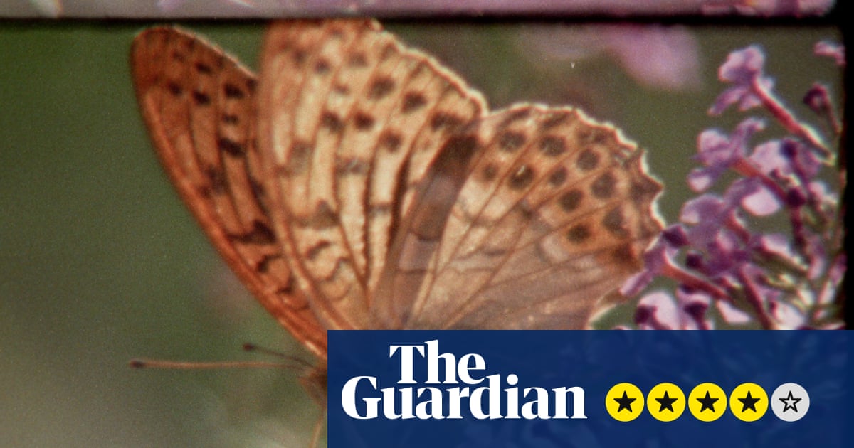 Обзор Super Nature — краудсорсинговая пленка Super 8: триумфальный коллаж надежды для природного мира